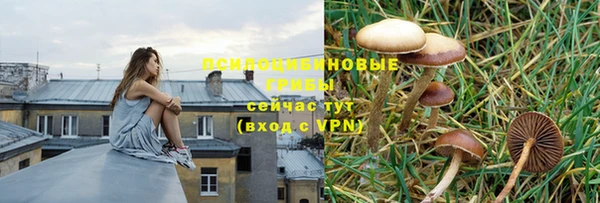 мяу мяу мука Балахна